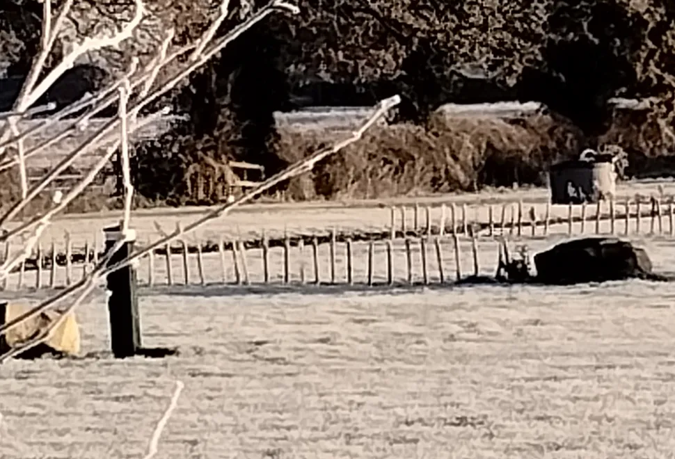Oakwood Campsite