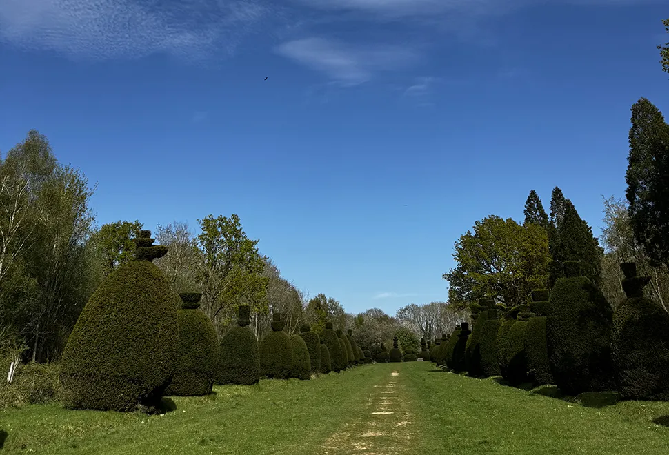 Clipsham Yew Tree Avenue