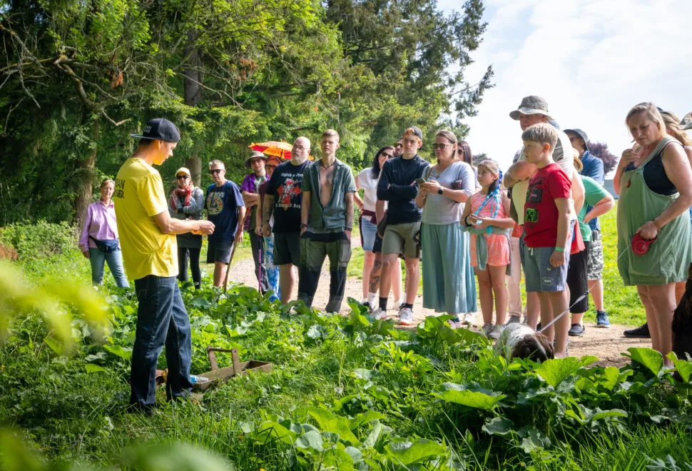 forage walk