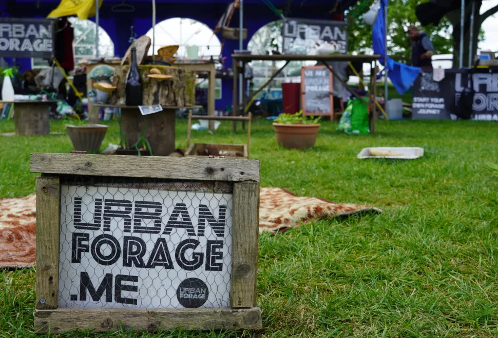 urban forage stand at Campervan Campout