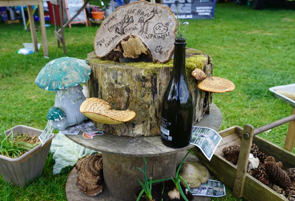 tree stump with toadstools