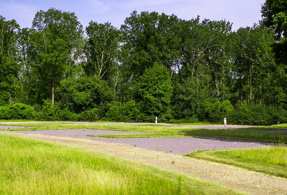 Fineshade Wood Campsite