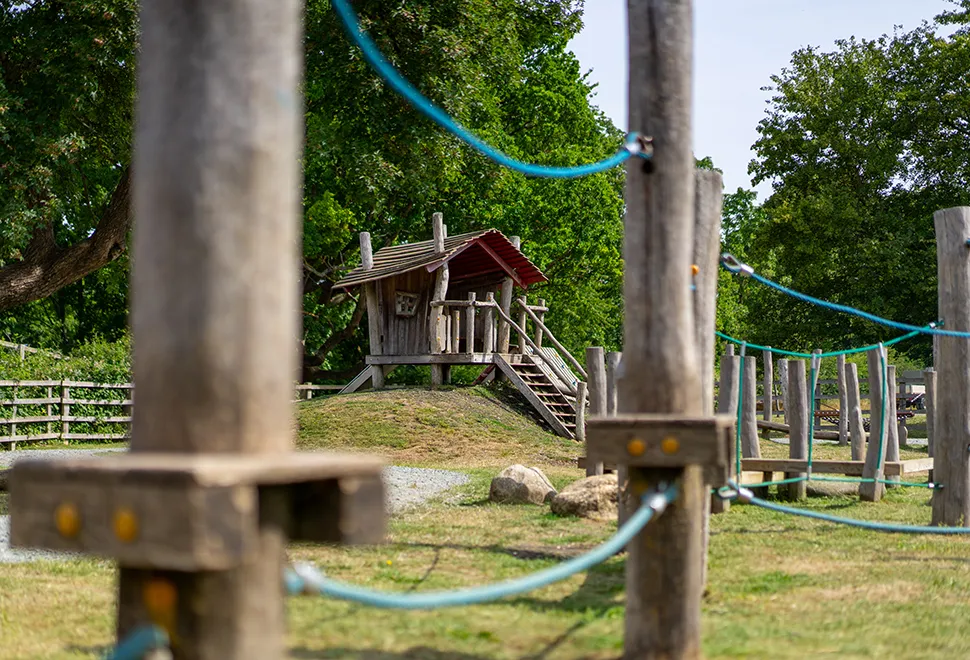 Fineshade Wood Campsite