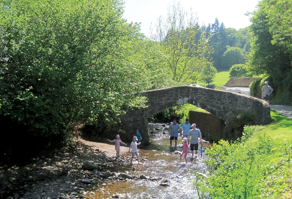Burrowhayes
