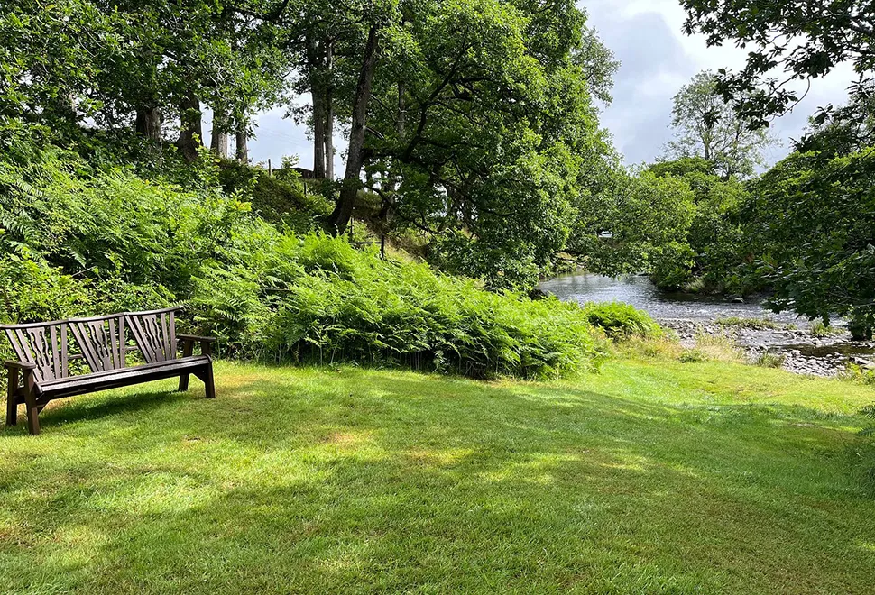 Elan Oaks