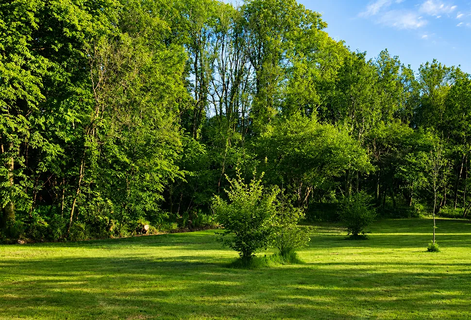 Abermarlais