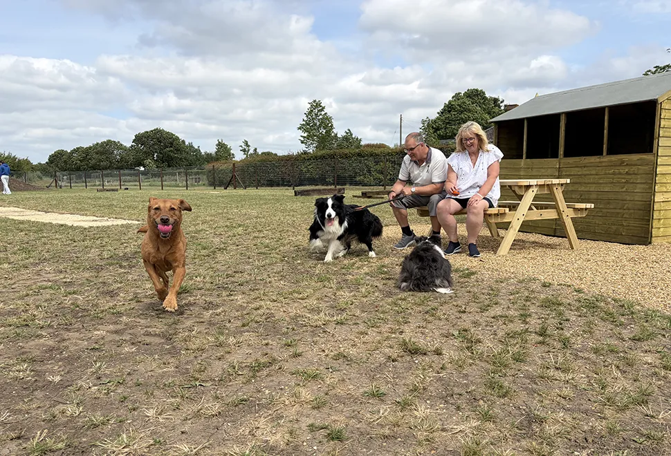 Doddy Dog Field