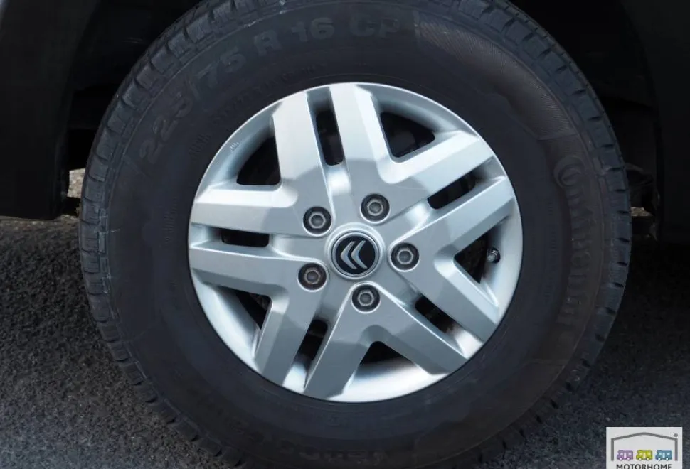 WildAx Solaris Xl 2021