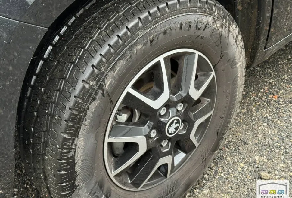 Elddis Evolution  150 2024