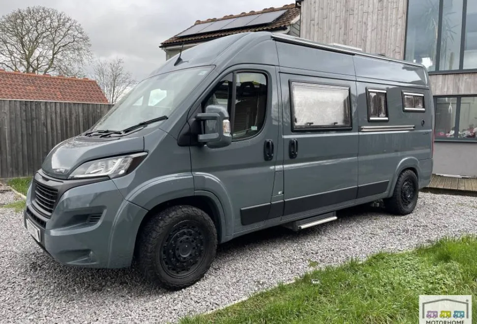 Murvi Pimento XL 2022