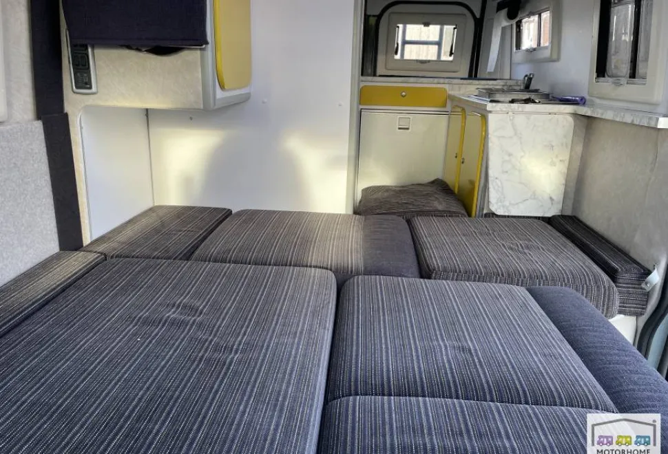 Murvi Pimento XL 2022