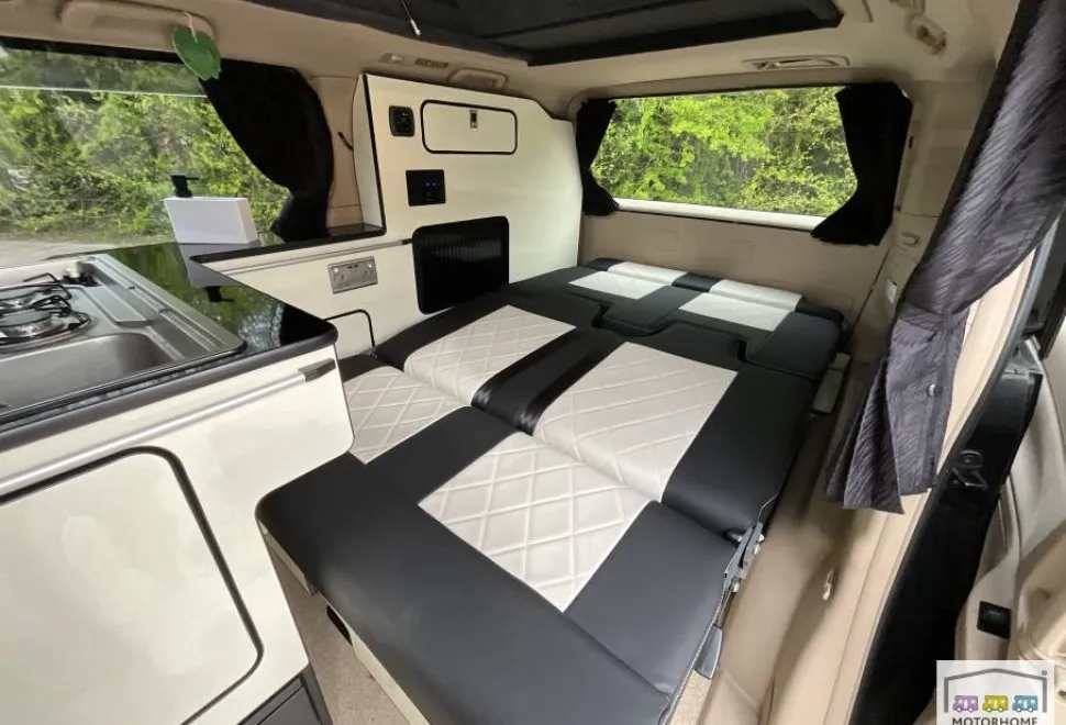 Toyota Vellfire   2010