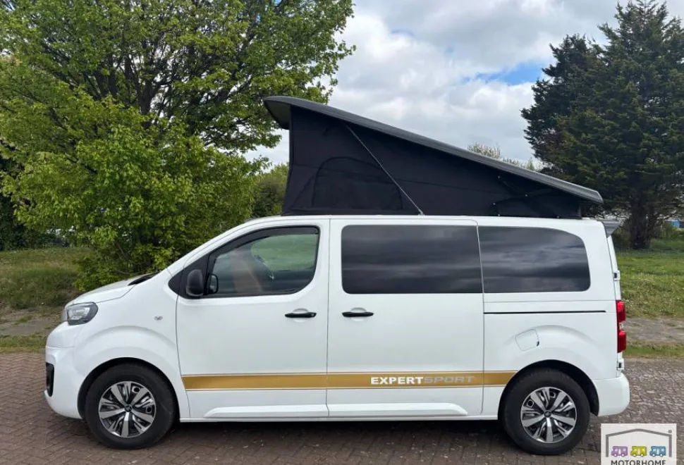 Peugeot Expert Professional 2020