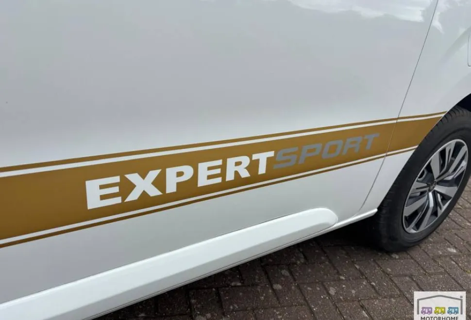 Peugeot Expert Professional 2020