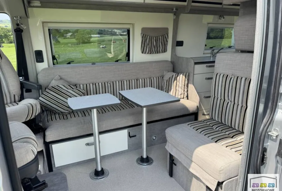 WildAx Constellation 3 2019