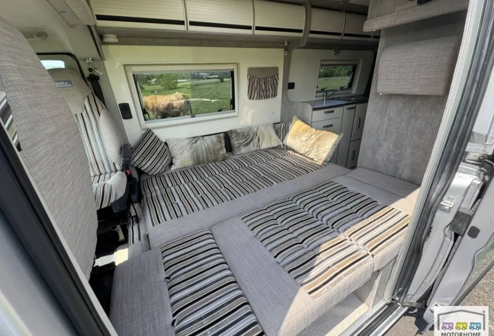 WildAx Constellation 3 2019
