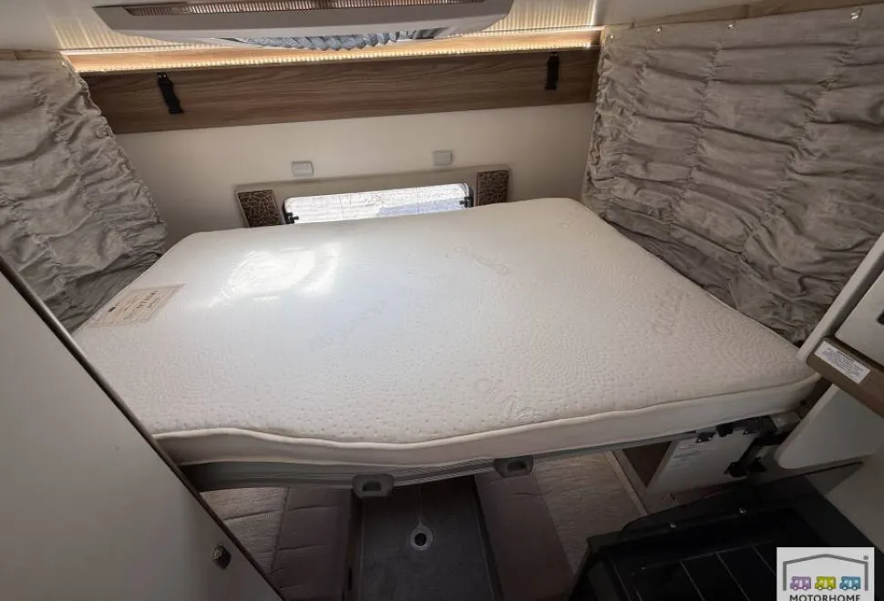 Swift Champagne  C404 2021