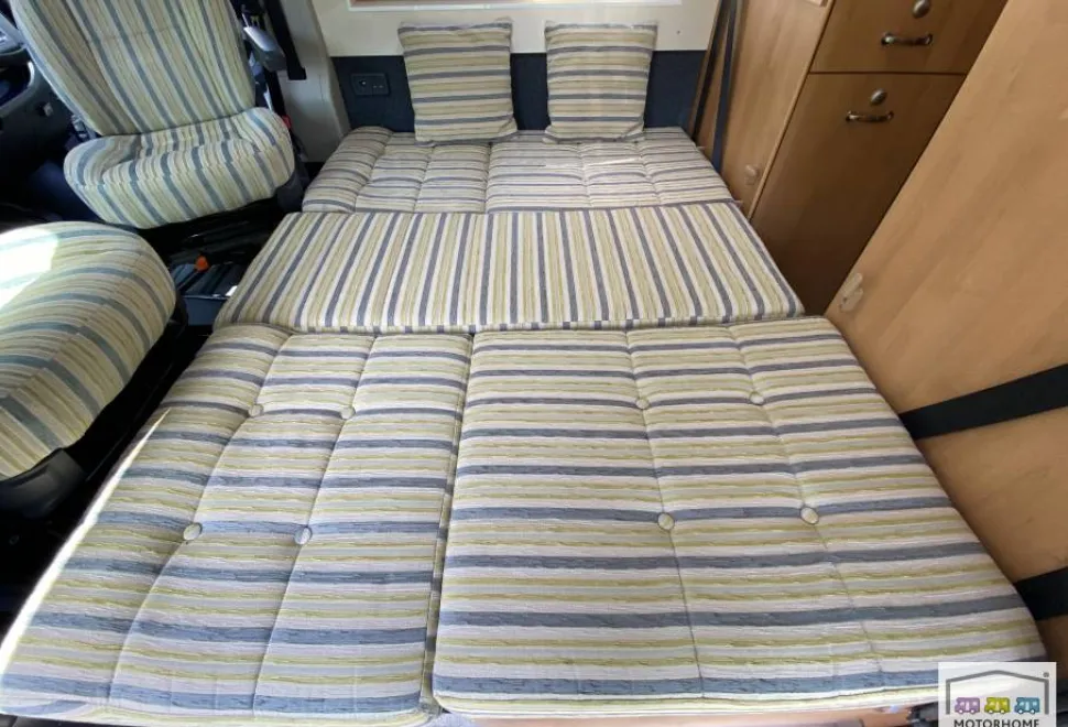 WildAx Solaris  2014