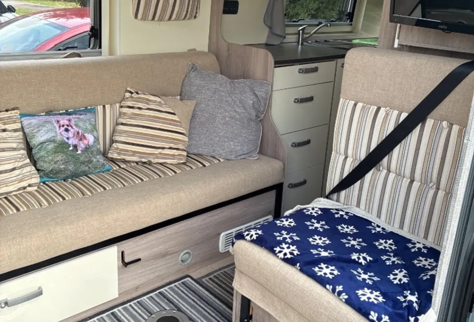 Wildax Constellation 3XL 2019