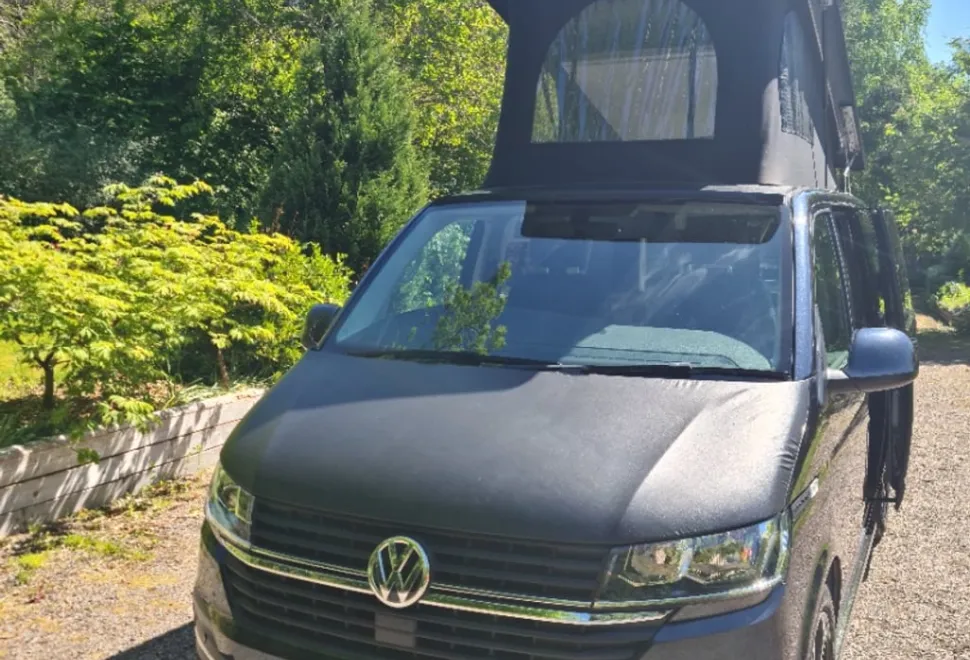 Volkswagen T6.1 2020