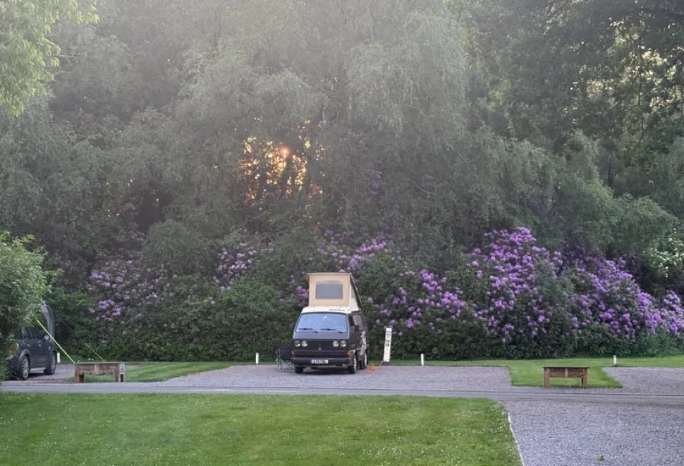 volkswagen T3 Westfalia Club Joker pop top 1984