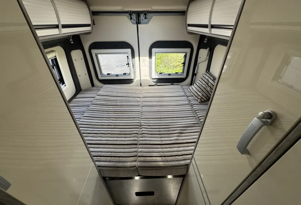Wildax  Aurora XL 2018