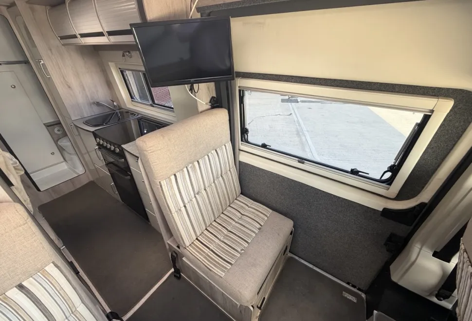 Wildax  Solaris XL 2019<br