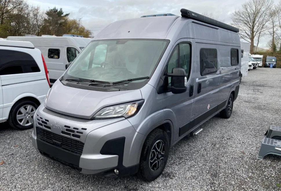 Wildax  Aurora 2025
