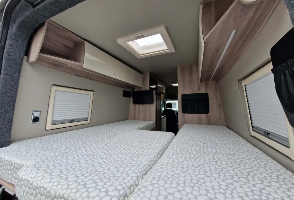 Wildax  Altair 2024