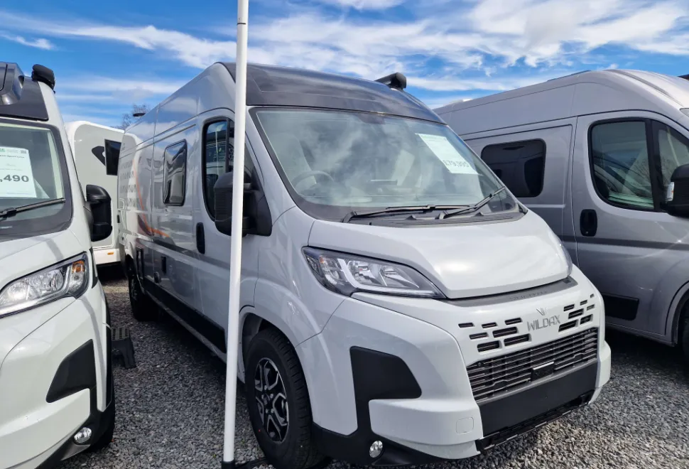 Wildax  Aurora 2026