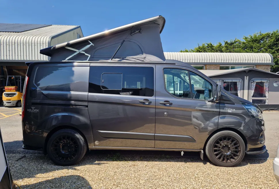 Wildax  Proteus 2021