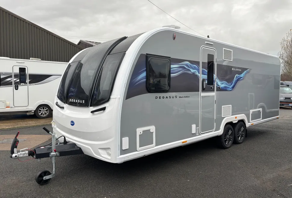 Bailey  Pegasus 2026