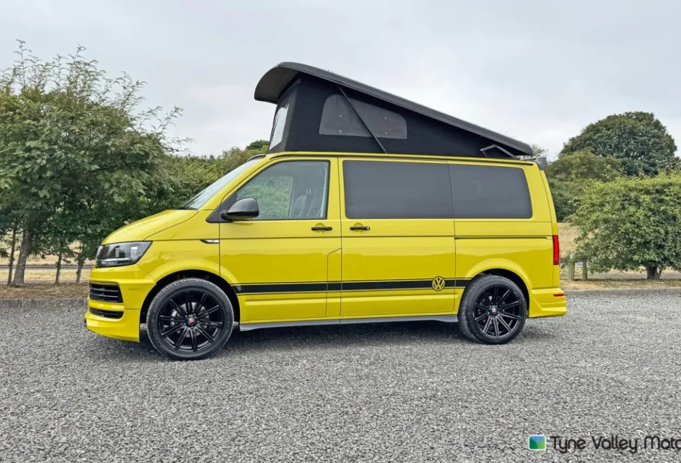 Volkswagen  Campervan 2019