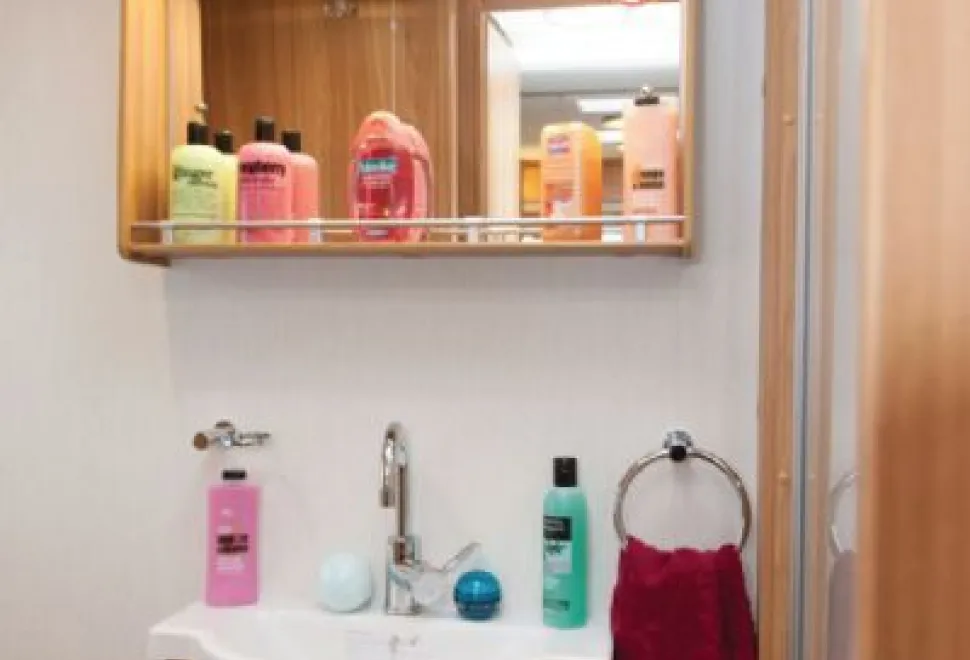 rhp_Bright LEDs above the mirror enhance the vanity arrangements