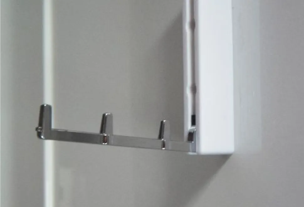 A-hinge-down-hanger-for-towels-or-garments-in-the-shower-cubicle-21252