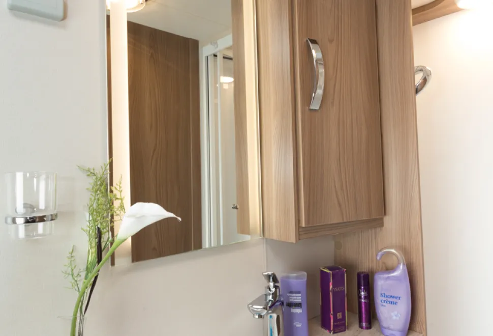 web-3-Illumination-built-into-the-mirror-08207