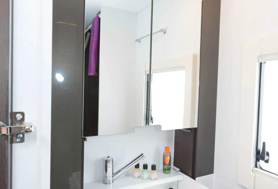 The-large,-shallow-basin-lowers-from-within-the-mirrored-cabinet-88378