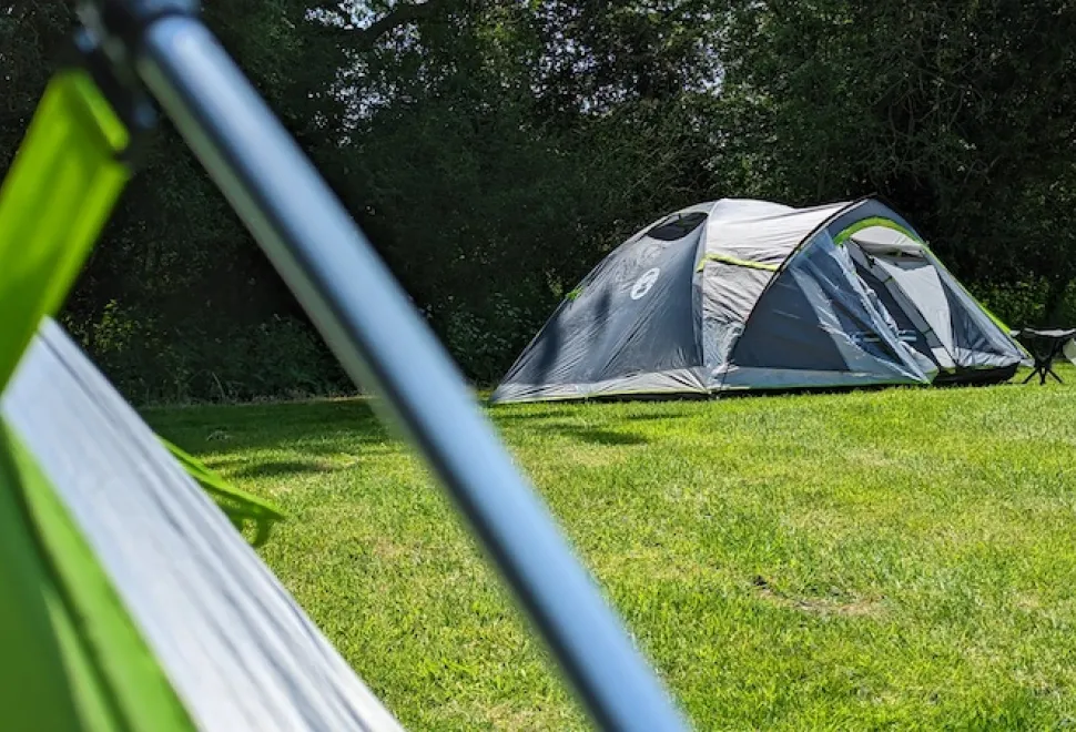 Coleman Darwin 4+ (Picture by Iain Duff)