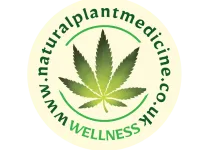 NPM logo