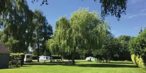 Long Hazel 5