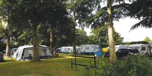 Quex 1