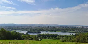 Waleswood 1