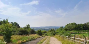 Waleswood 2