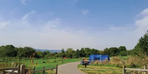 Waleswood 5