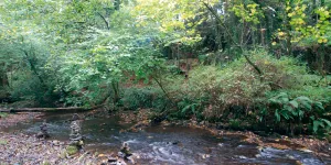 Waterrow 1