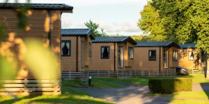 Whitehill 3
