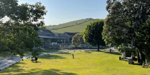 Whitehill 5