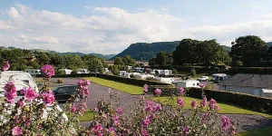 bron-derw-campsite-image-1