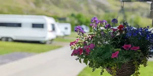 bryn-gloch-campsite-image-11