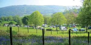 burrowhayes-campsite-image-4